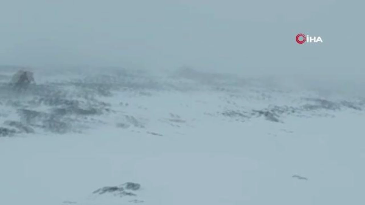 İranlı dağcıların "Ağrı Dağı" macerasına kar ve tipi engel oldu