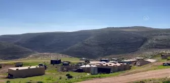 İşgal altındaki Batı Şeria'da eğitimler kurumları da 'İsrail'in yıkım tehdidiyle' karşı karşıya