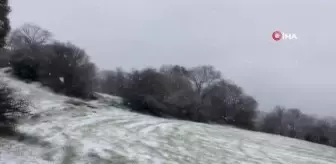Kepsut ve Sındırgı'da kar yağışı başladı