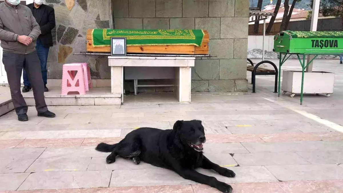 Ölen sahibinin tabutunun başından biran olsun ayrılmadı