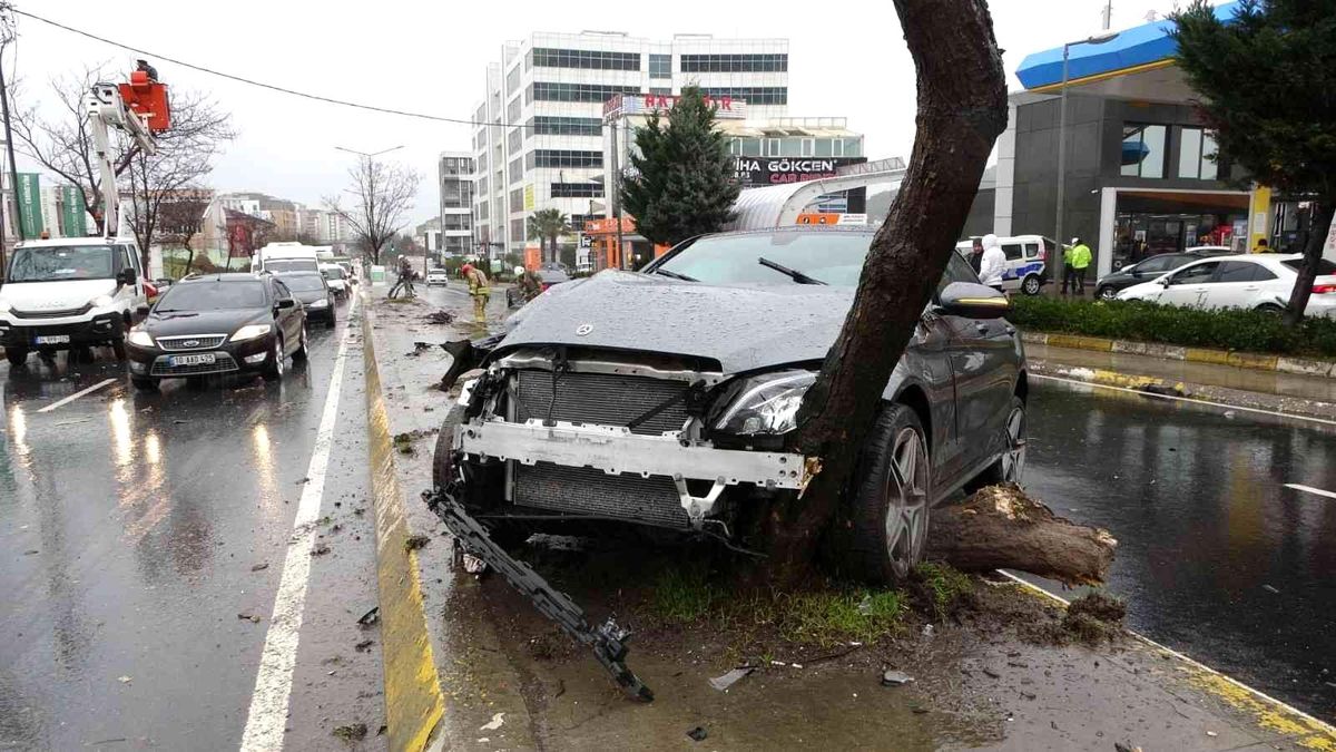 Pendik\'te aşırı hızlı otomobil, aydınlatma direği ve ağaca çarpıp yerinden söktü