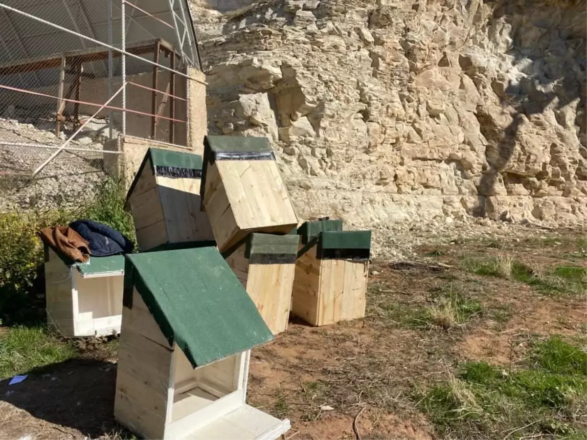 Şanlıurfa'da kelaynak yuvalarının sayısı artırıldı