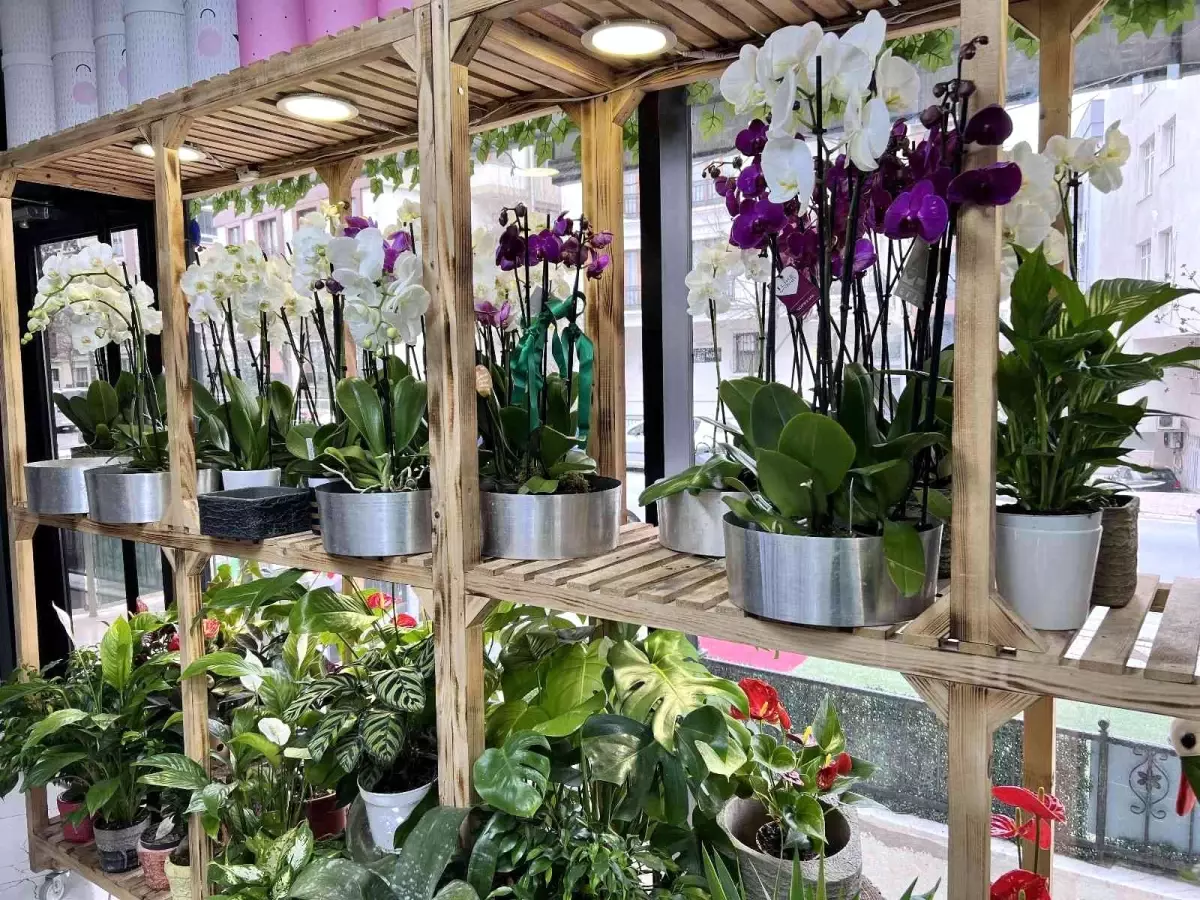 "Sevgililer Günü\'nde en ucuz gül 30 TL\'den satılacak"