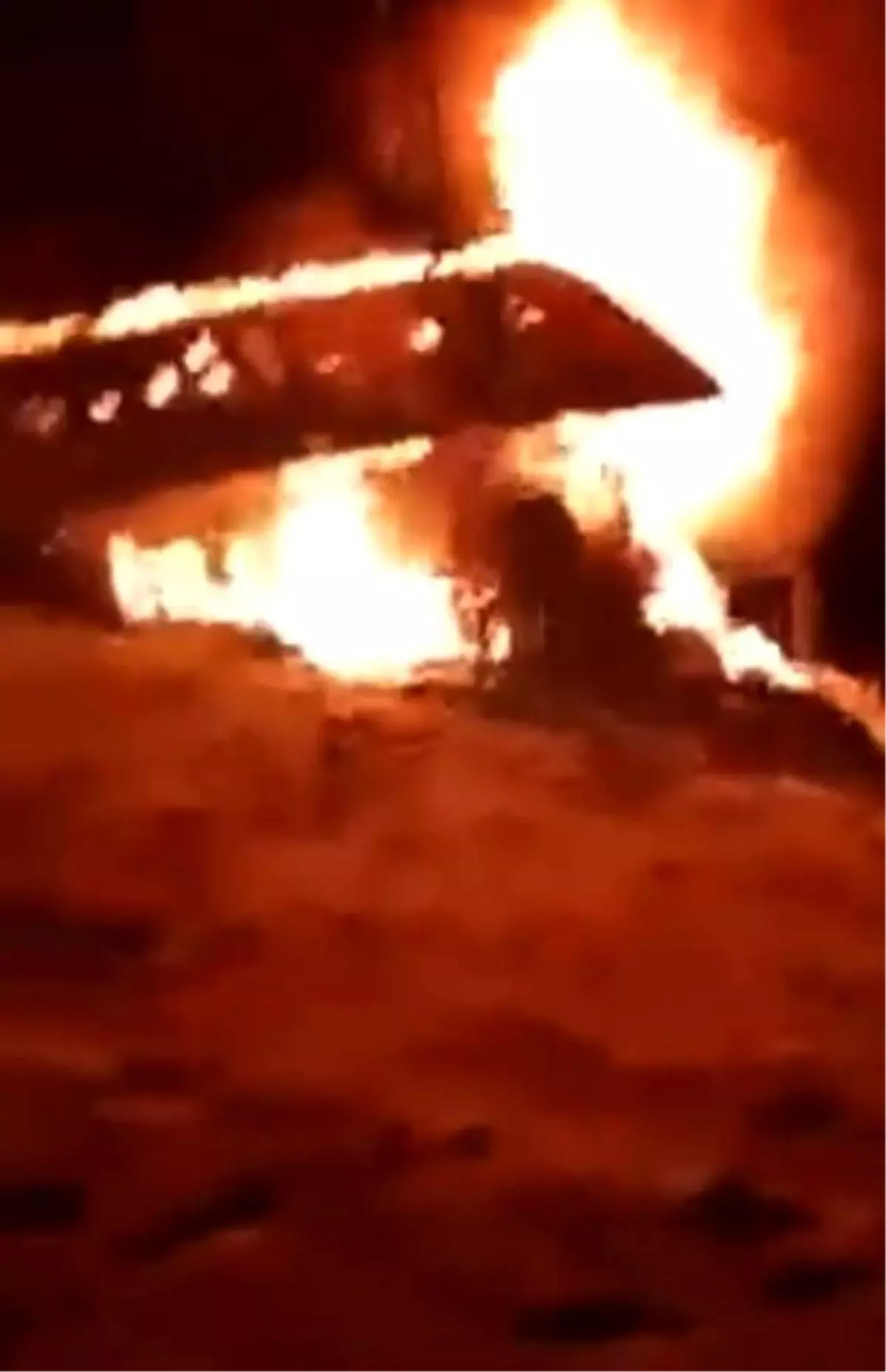 Trabzon'da yangın: 2 büyükbaş hayvan telef oldu