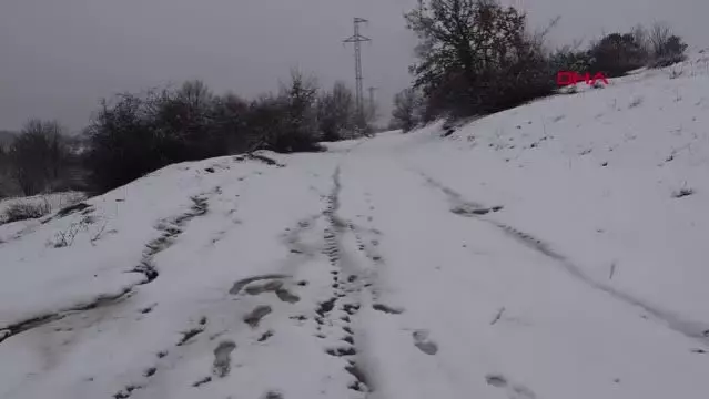 Trakya'nın yükseklerinde kar yağışı