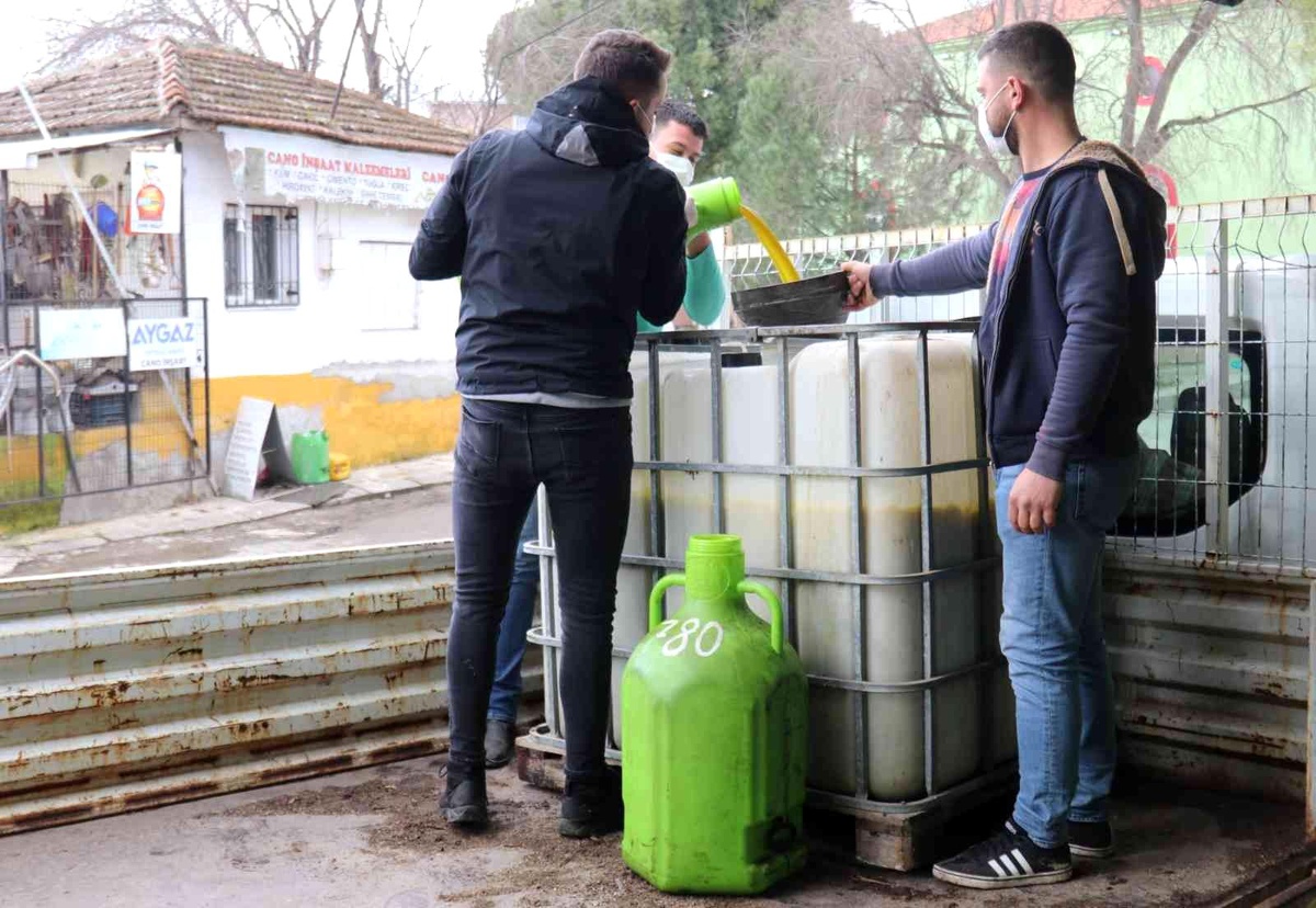 Turgutlu\'nun parklarındaki zeytinler ihtiyaç sahipleri için kullanılıyor
