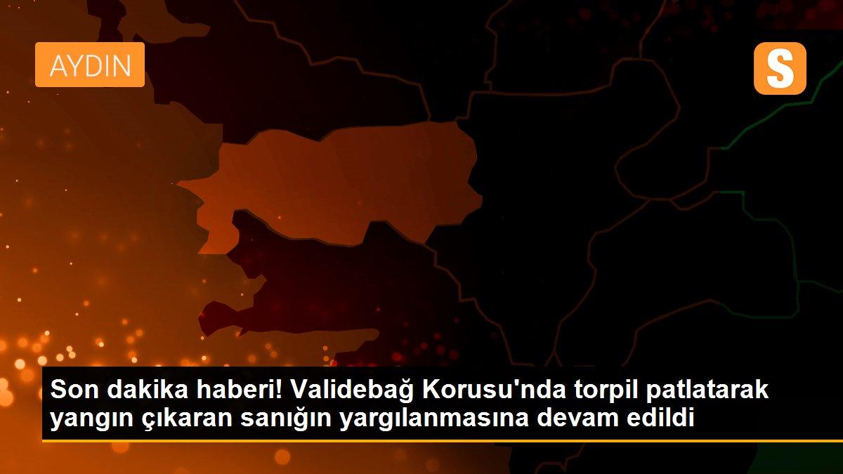Son dakika haberi! Validebağ Korusu\'nda torpil patlatarak yangın çıkaran sanığın yargılanmasına devam edildi