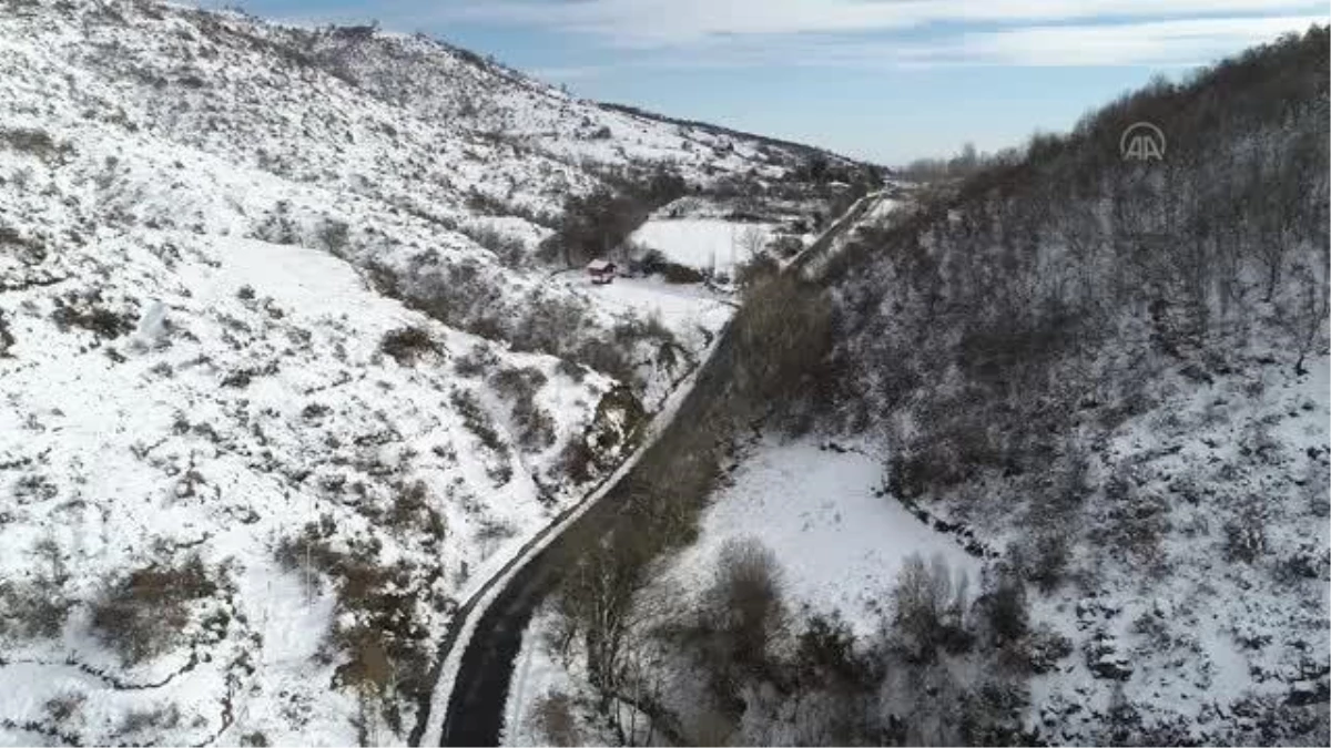 Beyaza bürünen ormanlar drone ile görüntülendi