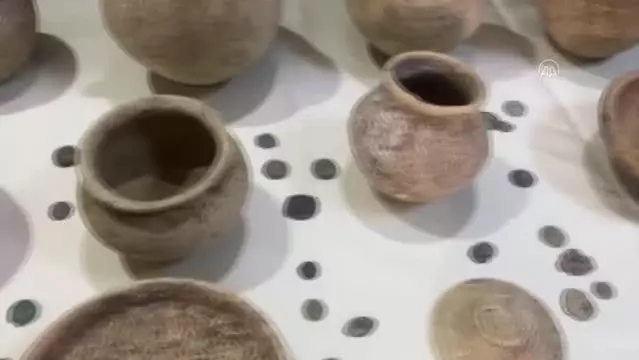 Evinde 309 sikke ve objeler bulunan zanlı gözaltına alındı