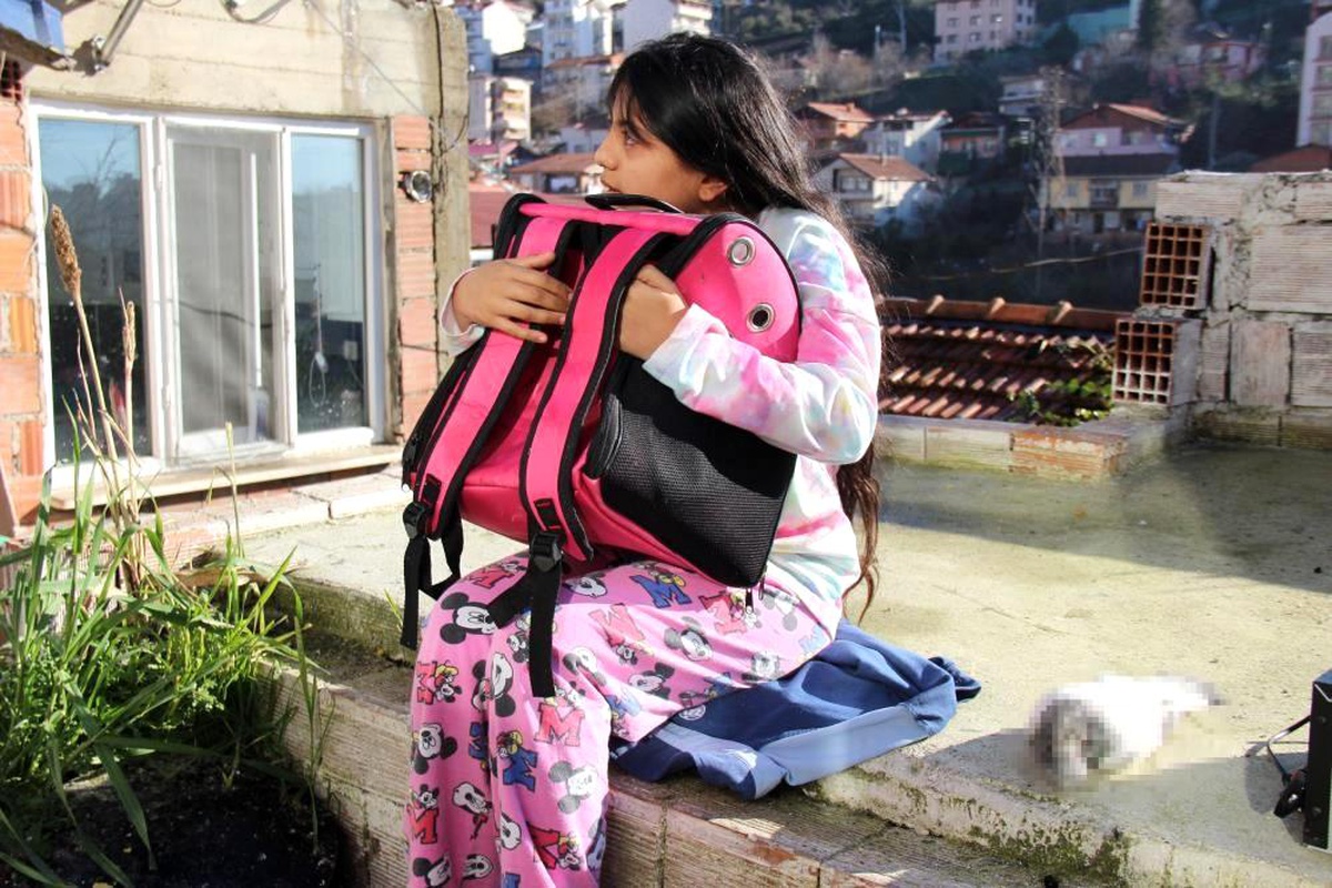 Evinde çıkan yangın köpeklerini telef etmişti, yeni bir köpek sahiplenmek istiyor