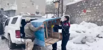 Güvenlik güçleri sokak hayvanları için Uludere ilçesine kulübe bıraktı