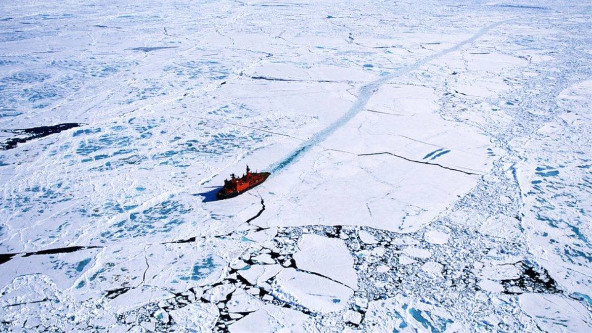 Kuzey Buz Denizi\'nin soğuk derin sularındaki \'uzaylıya benzeyen\' canlılar nasıl hayatta kalıyor?