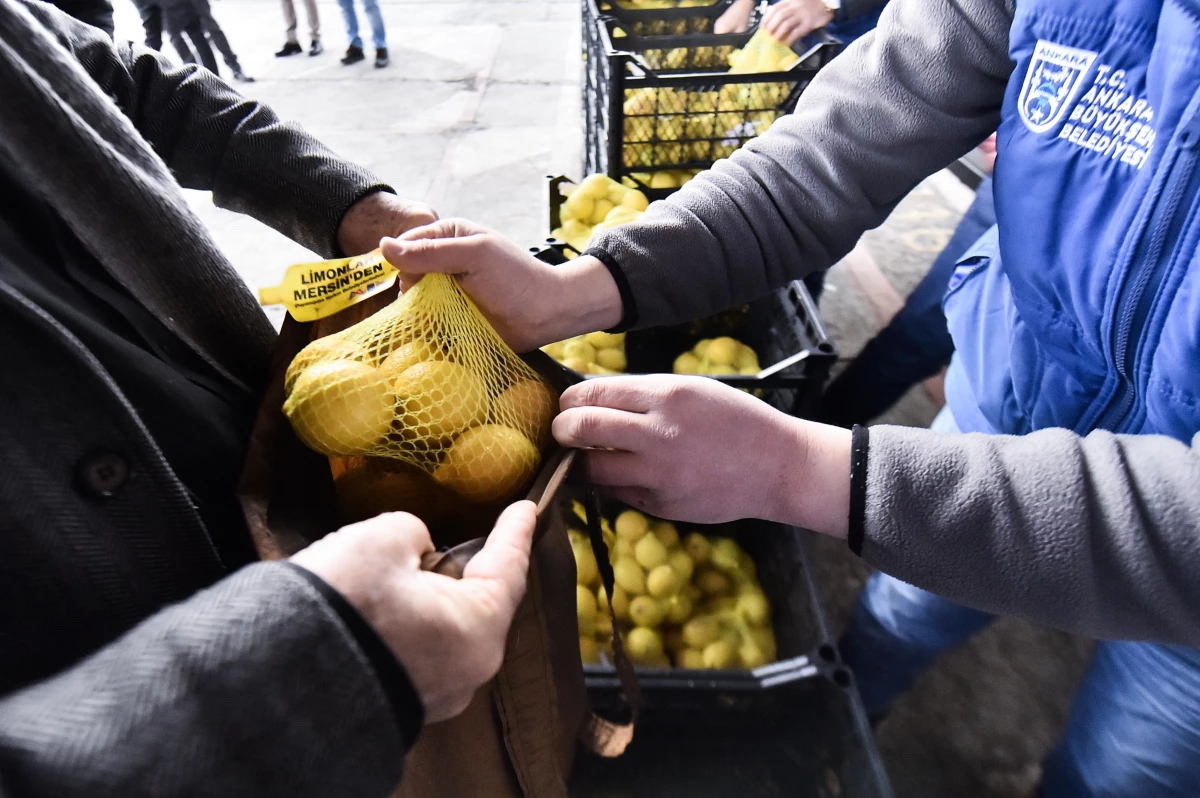 Mersin\'den gönderilen 25 ton limon, Ankaralı 12 bin aileye dağıtıldı