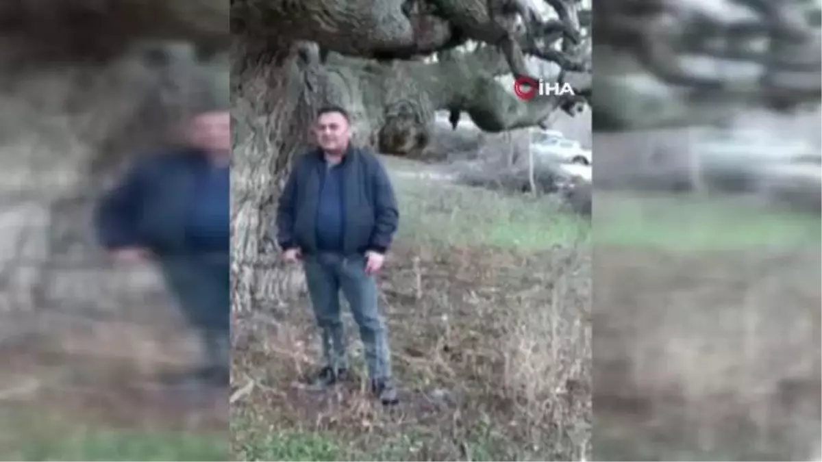 Osmancık\'ta 10 asırlık ağaç koruma altına alınacak