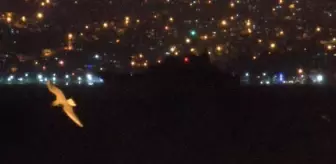 Son dakika! Rus savaş gemileri İstanbul Boğazı'ndan geçerek Karadeniz'e açıldı