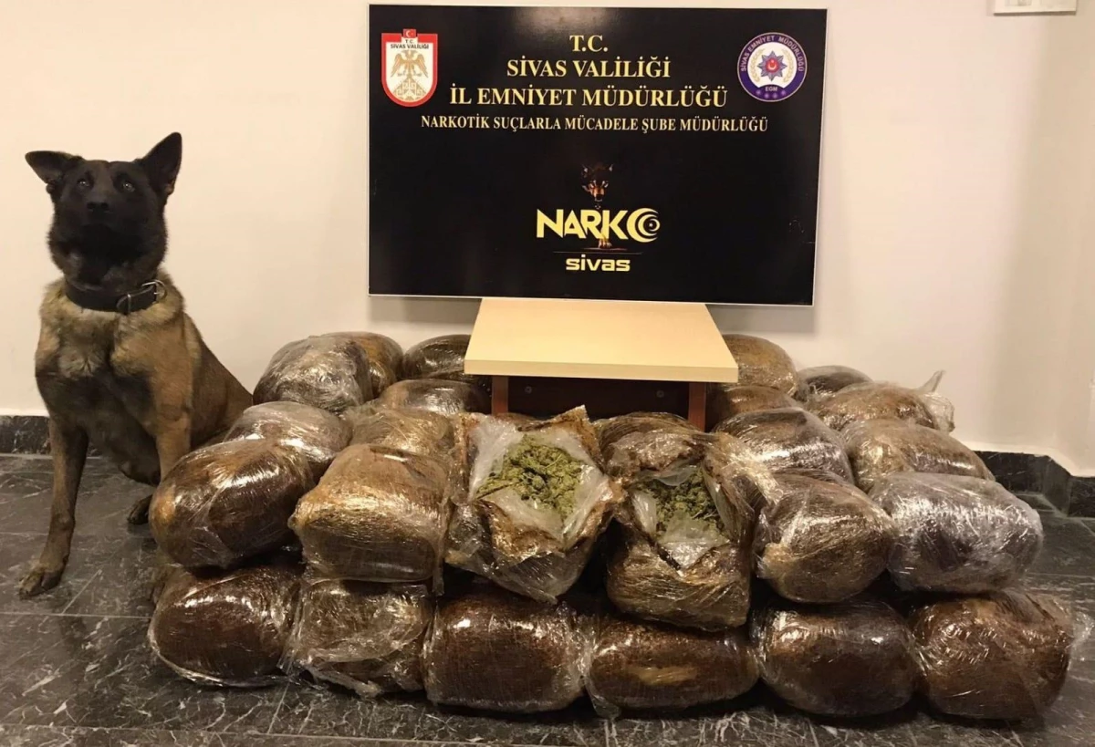 Sivas\'ta yolcu otobüsünde 57 kilo 300 gram esrar ele geçirildi