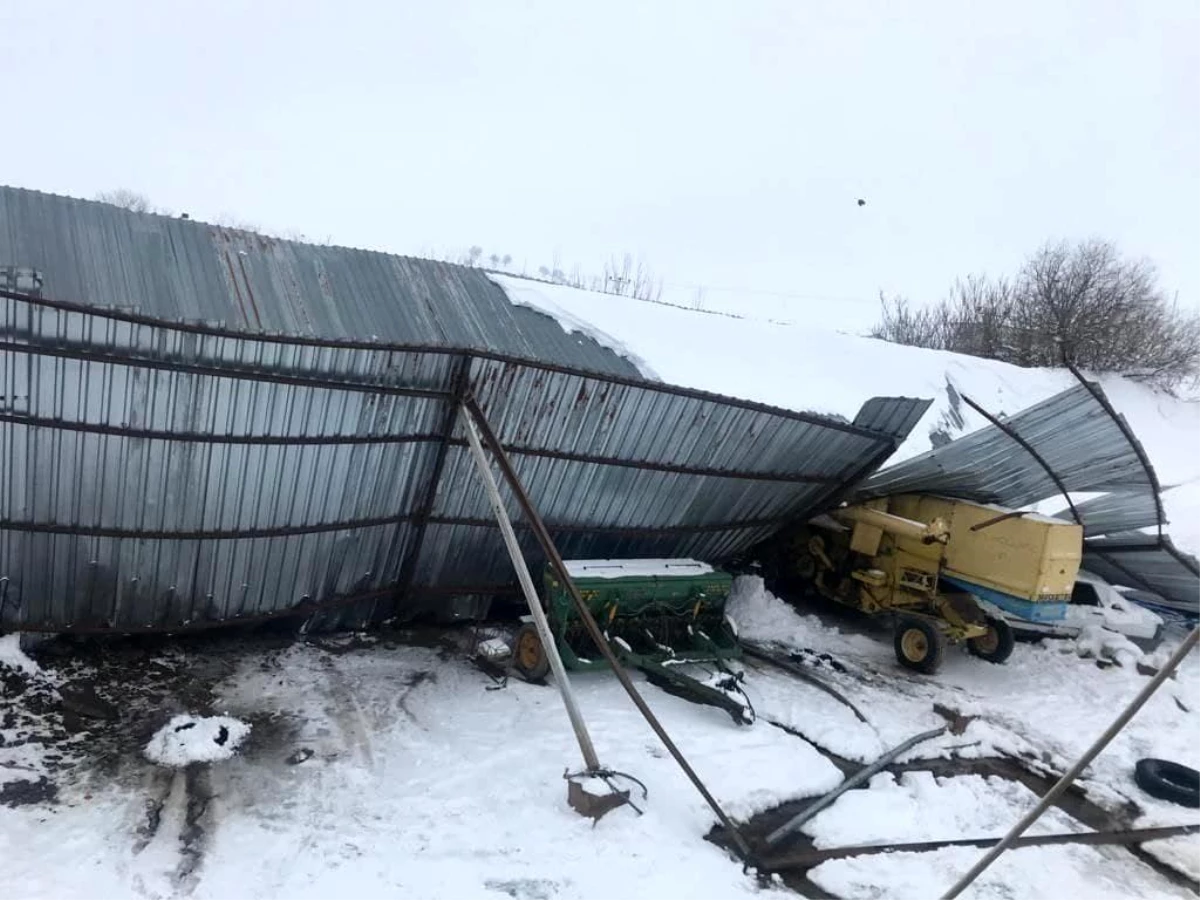 Yoğun kar yağışında mandıranın çatısı çöktü