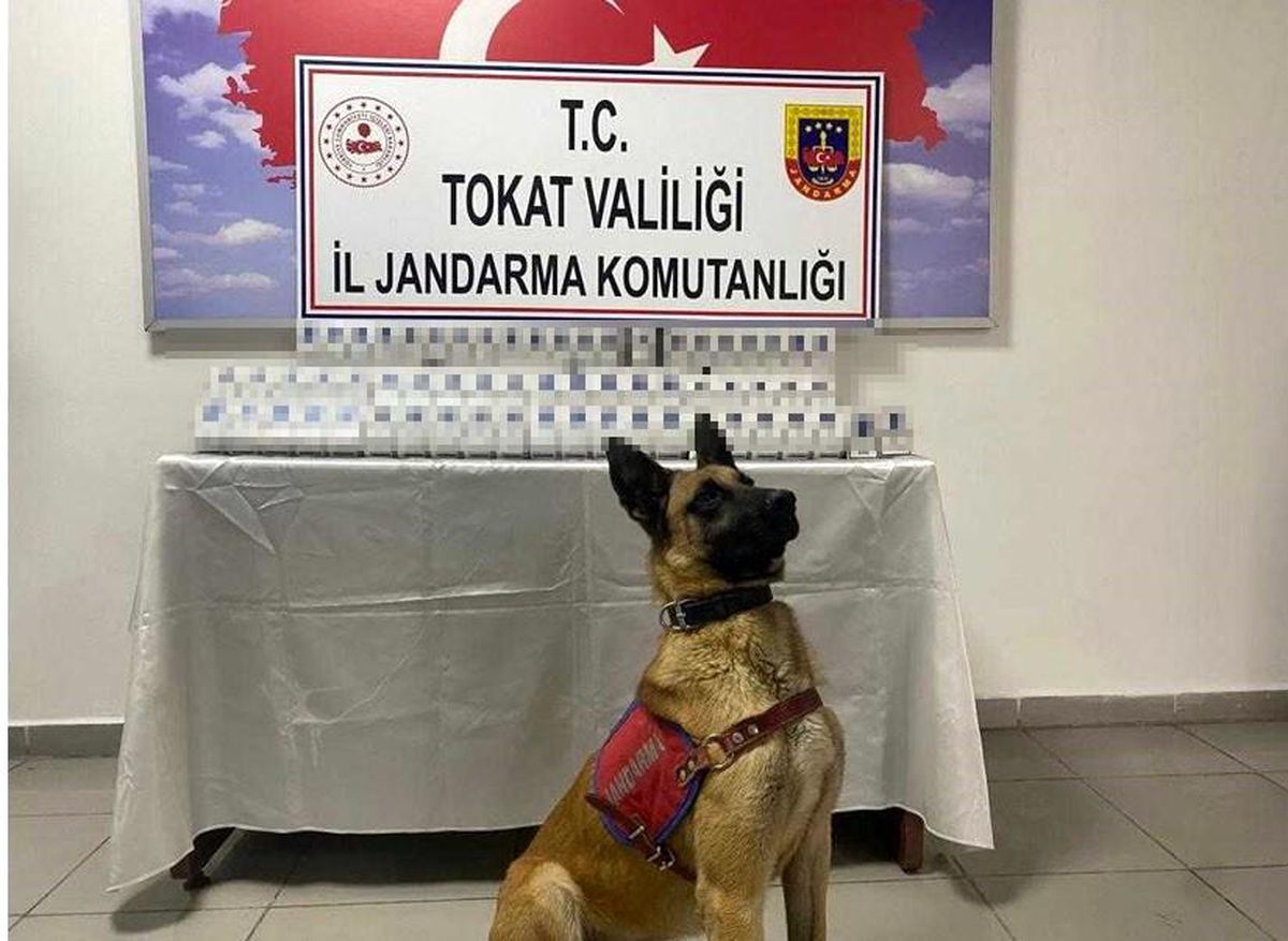 Yolcu otobüsünde kaçak sigara ele geçirildi