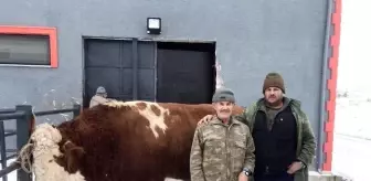 2 yılda bin 250 kiloya ulaştı