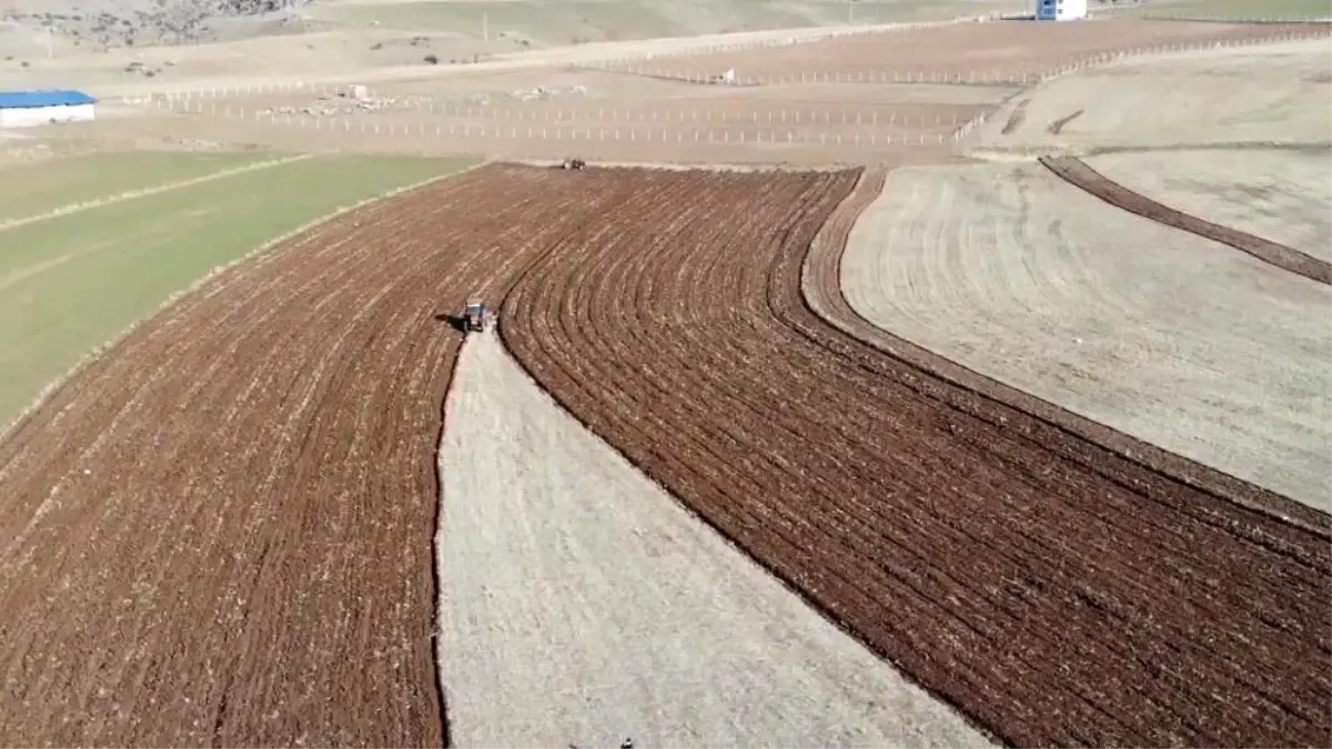 Başvuran alıyor, çiftçilere yüzde 50 hibeli tarım desteği