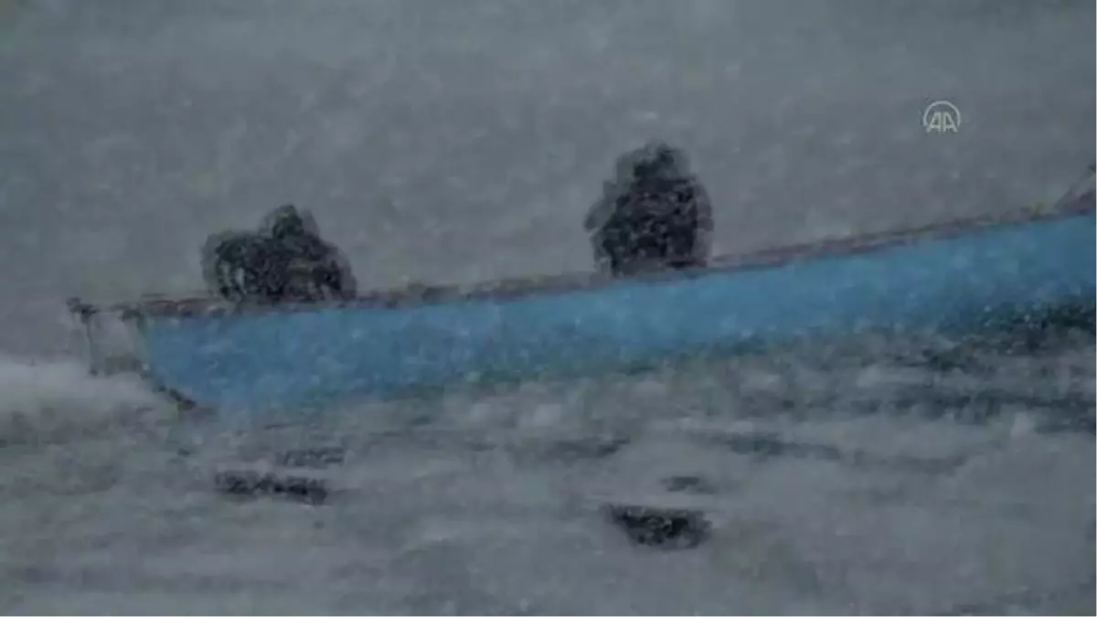 Son dakika haberleri... Beyşehir Gölü\'nde adada mahsur kalan küçükbaş hayvanlar teknelerle nakledildi