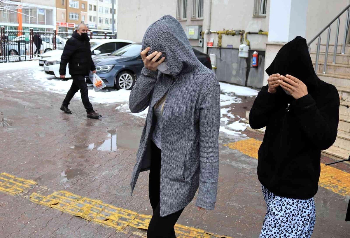 Ev ve iş yeri fareleri yakalandı