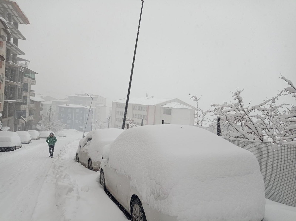 Hakkari\'de 325 yerleşim yerinin yolu kapandı