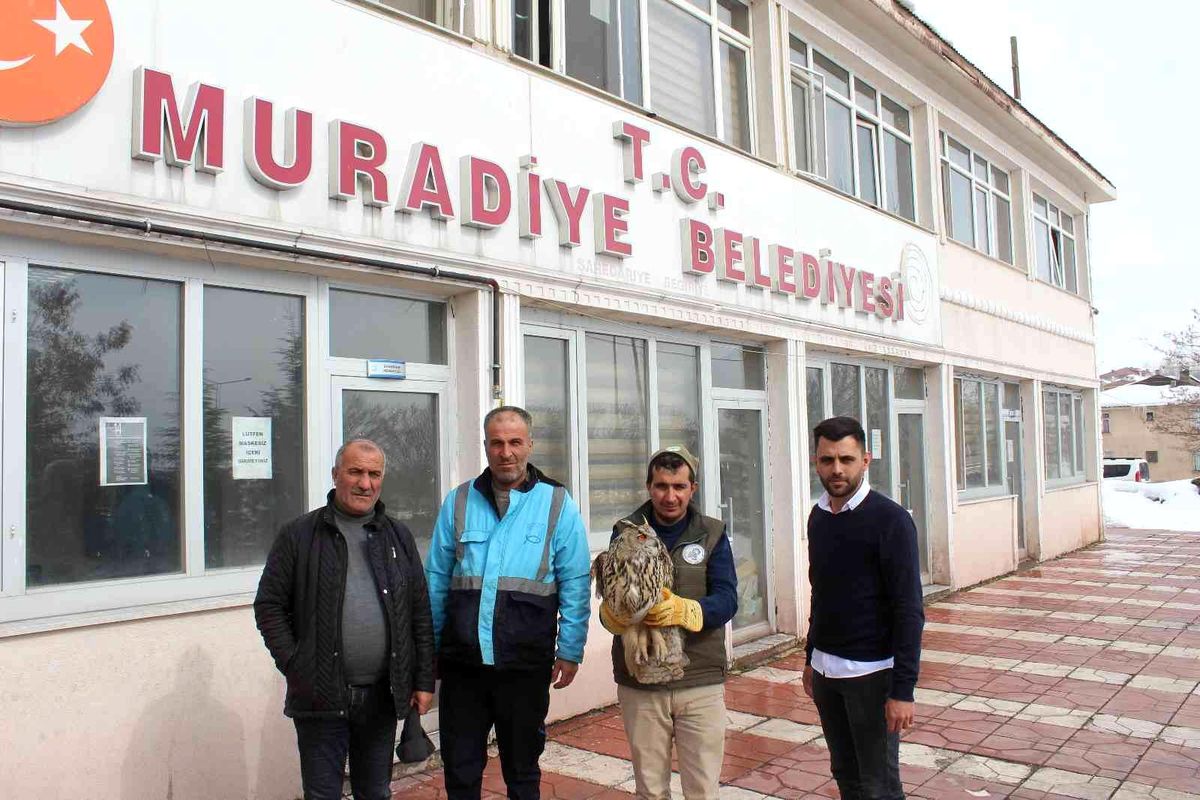 Yaralı Puhuya belediye ekipleri sahip çıktı