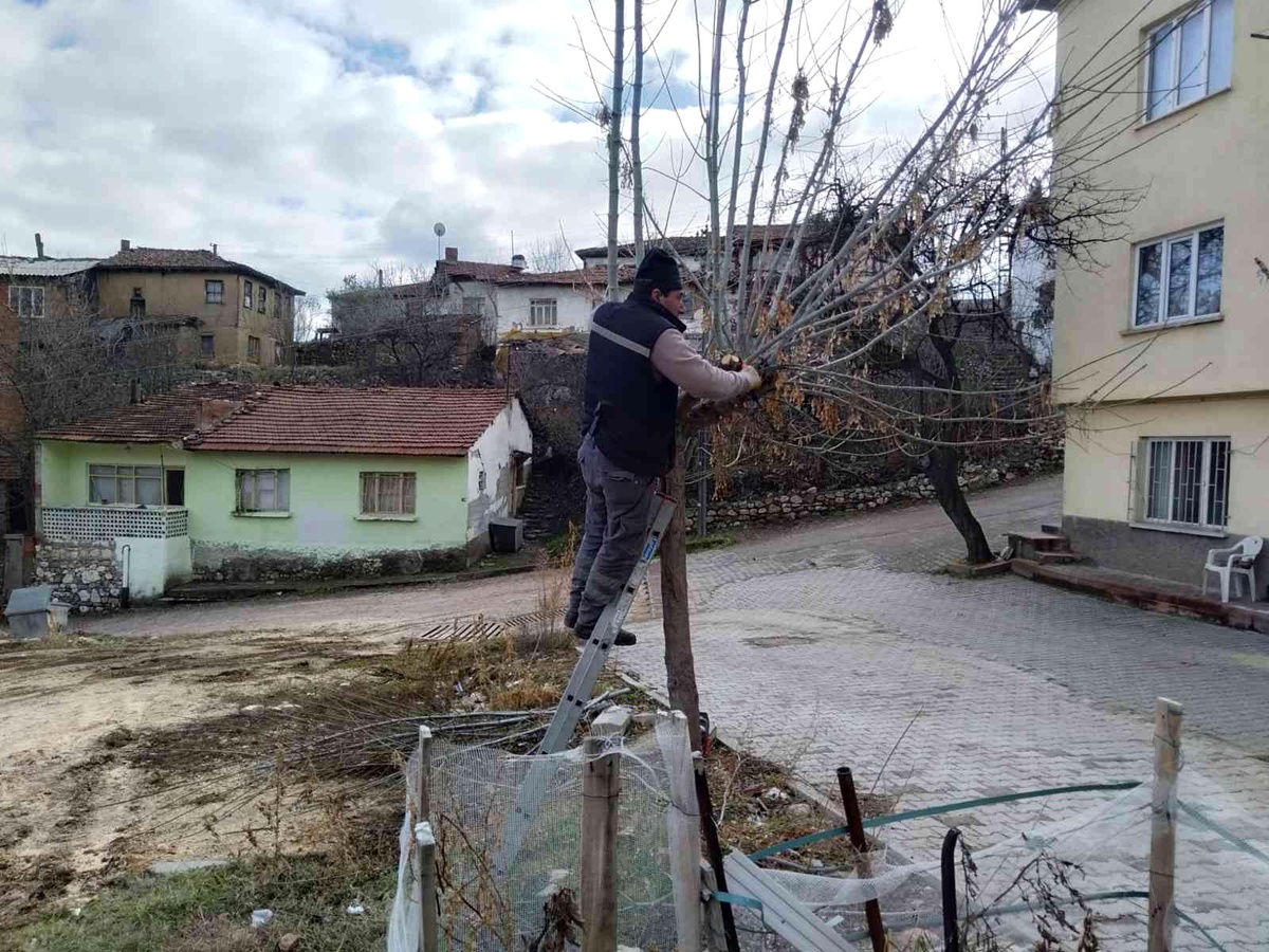 Bilecik Belediyesi kenti bahara hazırlıyor