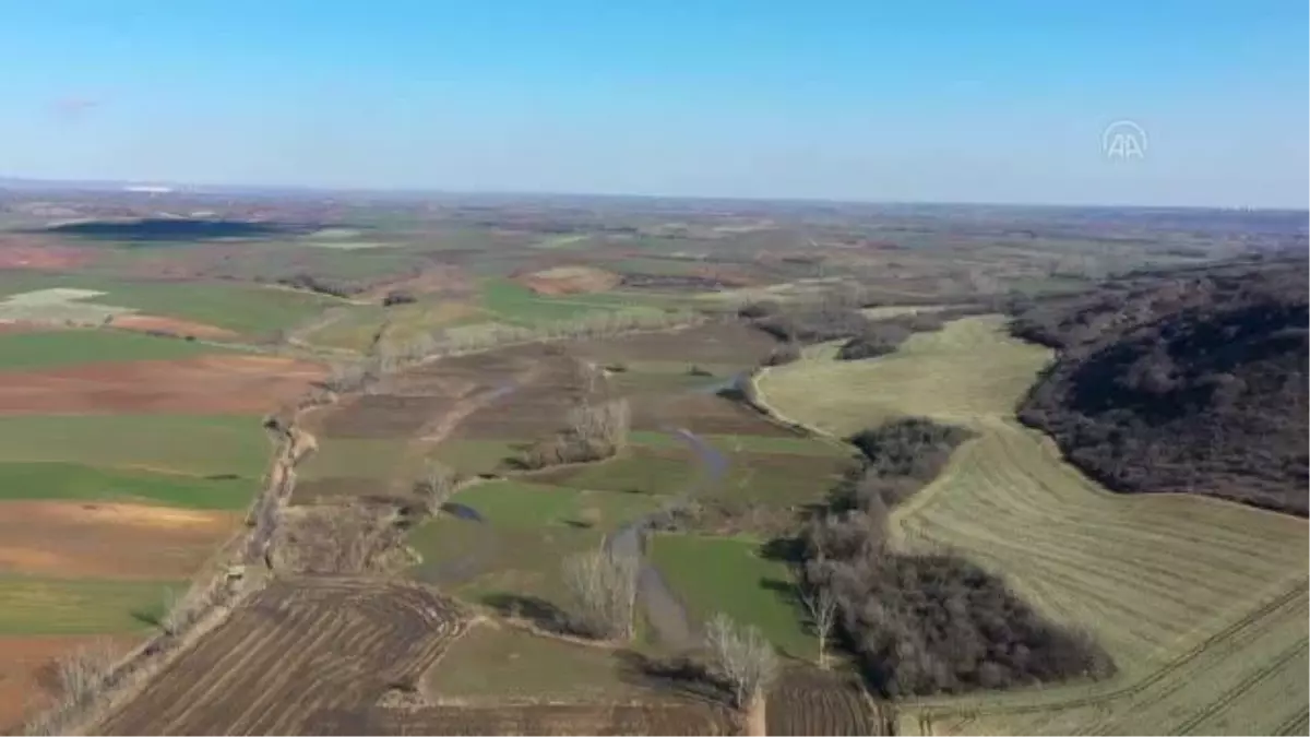 KIRKLARELİ - Ekili hububata "ilaç" gibi gelen son yağışlar Trakya\'da çiftçinin yüzünü güldürüyor