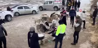 İpekyolu Belediyesinden örnek çalışma