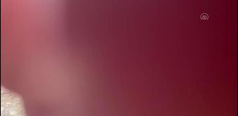 İsrail askerleri, haber takibi için Beyta'da bulunan AA ekibine saldırdı (2)