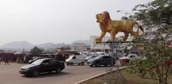 YAOUNDE/DAKAR - Afrikalılar yerel dillerine sahip çıkmak istiyor