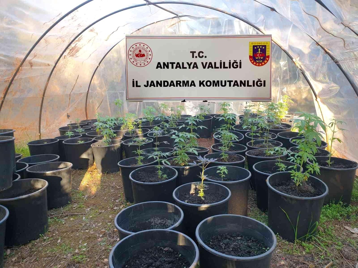 Antalya\'da jandarmadan uyuşturucu serasına baskın