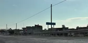 DİYARBAKIR - Asbestin yol açtığı akciğer kanseri toprak evden betonarme yapıya geçişle azaldı