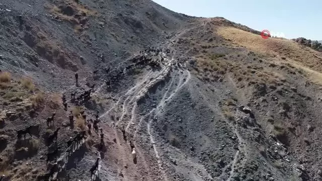 Konyaaltı Belediyesi, hayvancılıktaki uygulamalarıyla Türkiye'ye örnek oldu