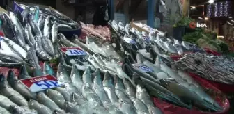 Olumsuz hava koşulları ve artan maliyetler balık fiyatlarına yansıdı