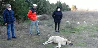 Site sakinleri belediyeden şikayetçi