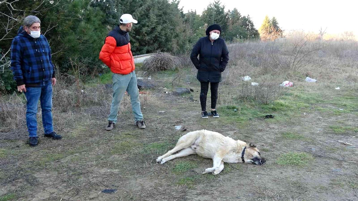 Site sakinleri belediyeden şikayetçi