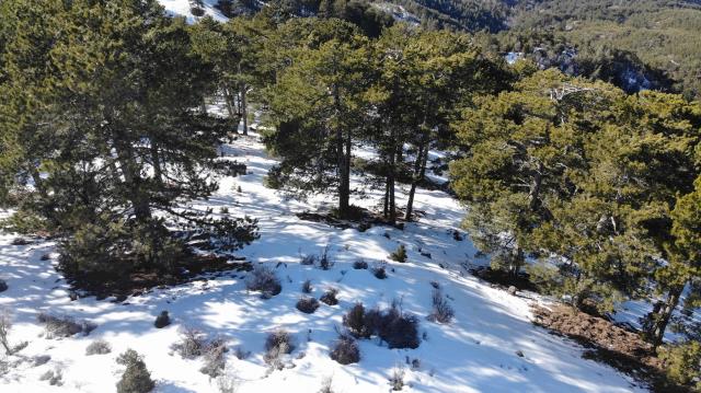 13 gündür haber alınamayan 19 yaşındaki gencin cansız bedeni bulundu