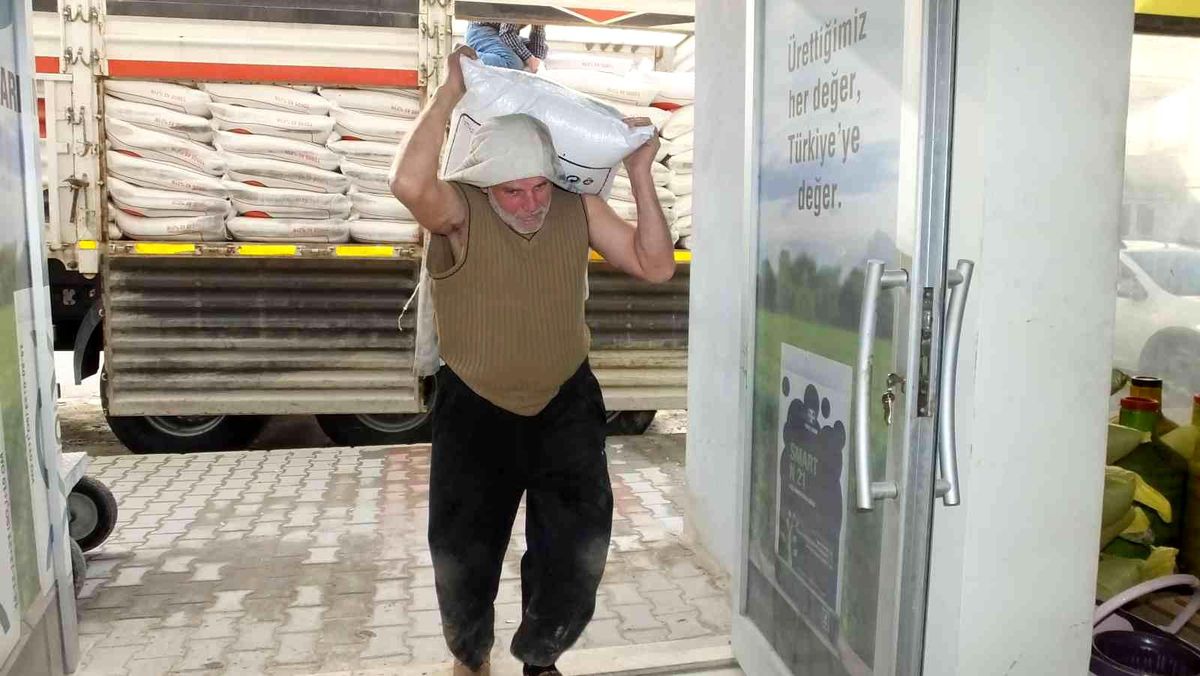 Burhaniye\'de zeytinde gübreleme başladı