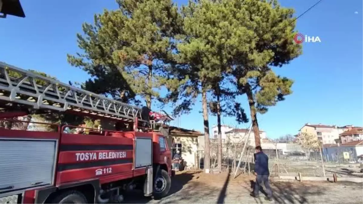 Kaçan papağanı yakalamak için seferber oldular