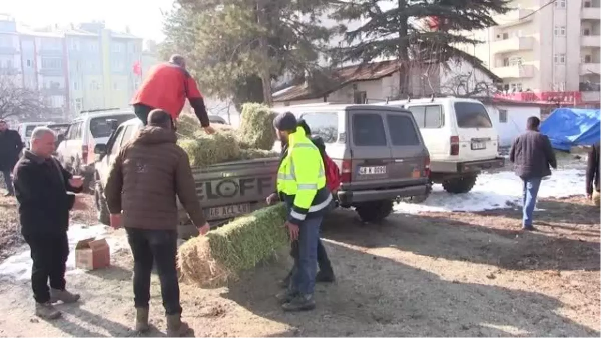 KAHRAMANMARAŞ - Gönüllüler yaban hayvanları için doğaya yem bıraktı