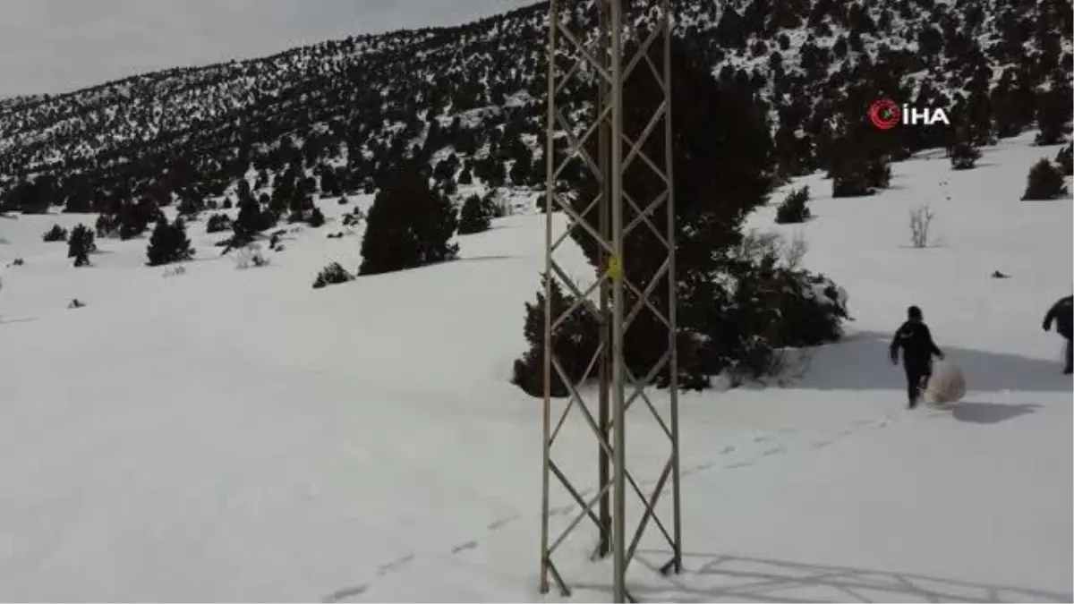 Konya\'da ağır kış şartlarında doğadaki hayvanlar unutulmadı