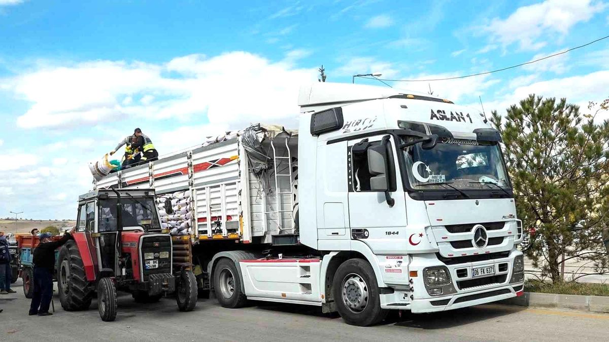 Altındağ\'da çiftçilere tohum desteği
