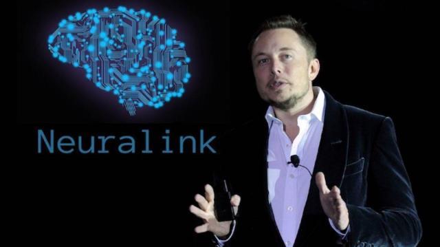 Elon Musk'ın Neuralink testlerine giren 15 maymunun ölmesi hayvan hakları savunucularını ayağa kaldırdı