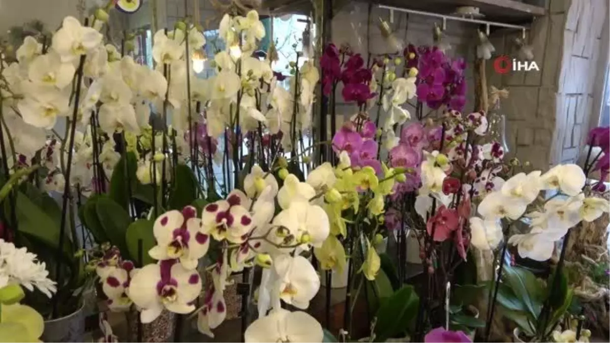 Esnaflar sevgililer gününden umutlu