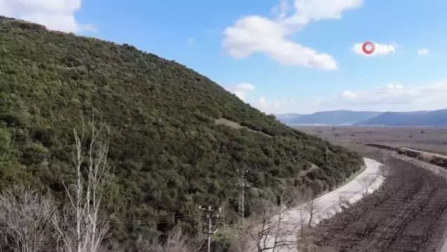 Son dakika haberleri... G&uuml;rsu ovası 7-24 g&ouml;zetleniyor...Hırsızlara karşı g&uuml;venlik kameraları yerleştirildi