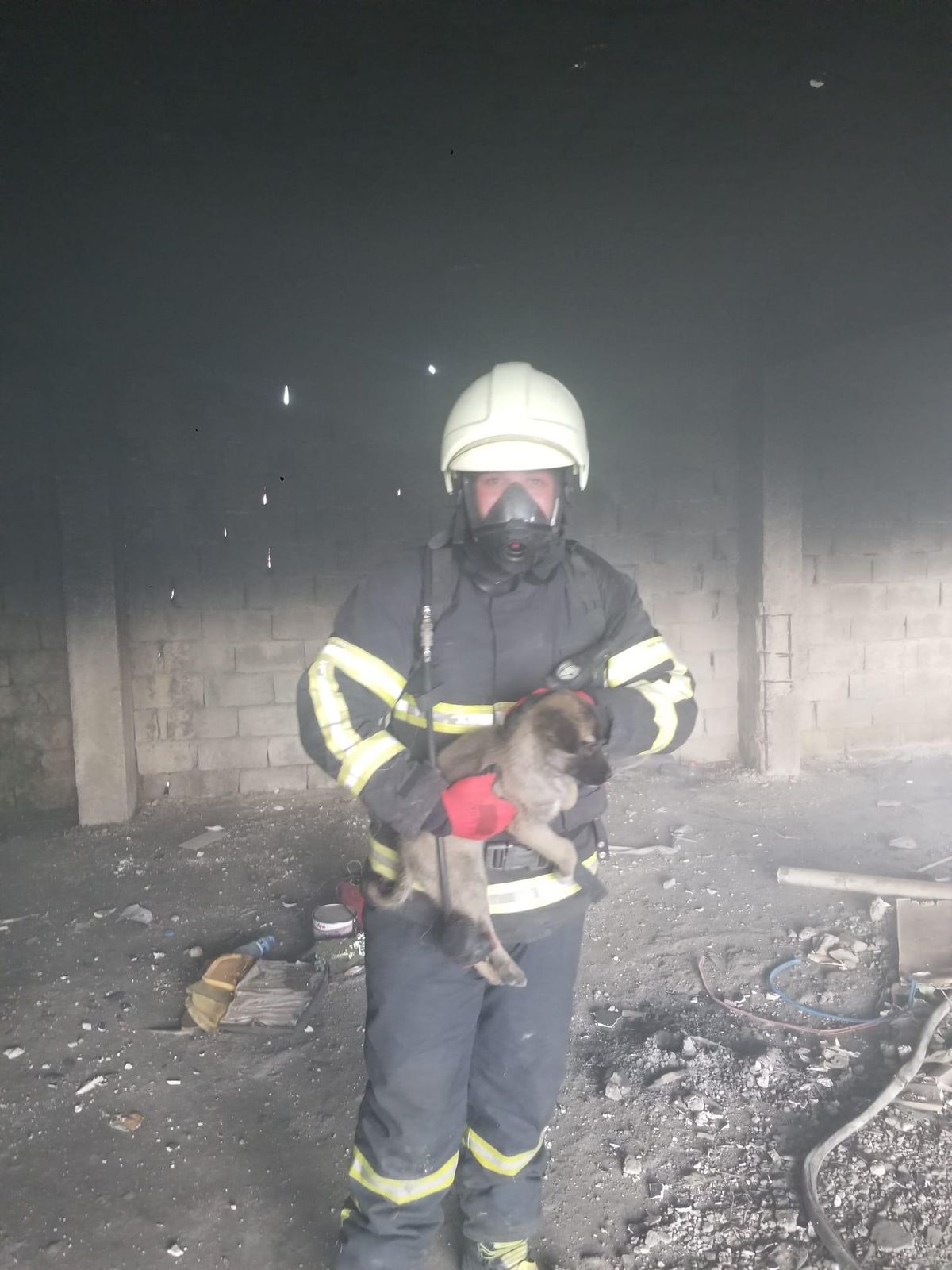 Son dakika! Hatay\'da yangında mahsur kalan köpek yavrusunu itfaiye kurtardı