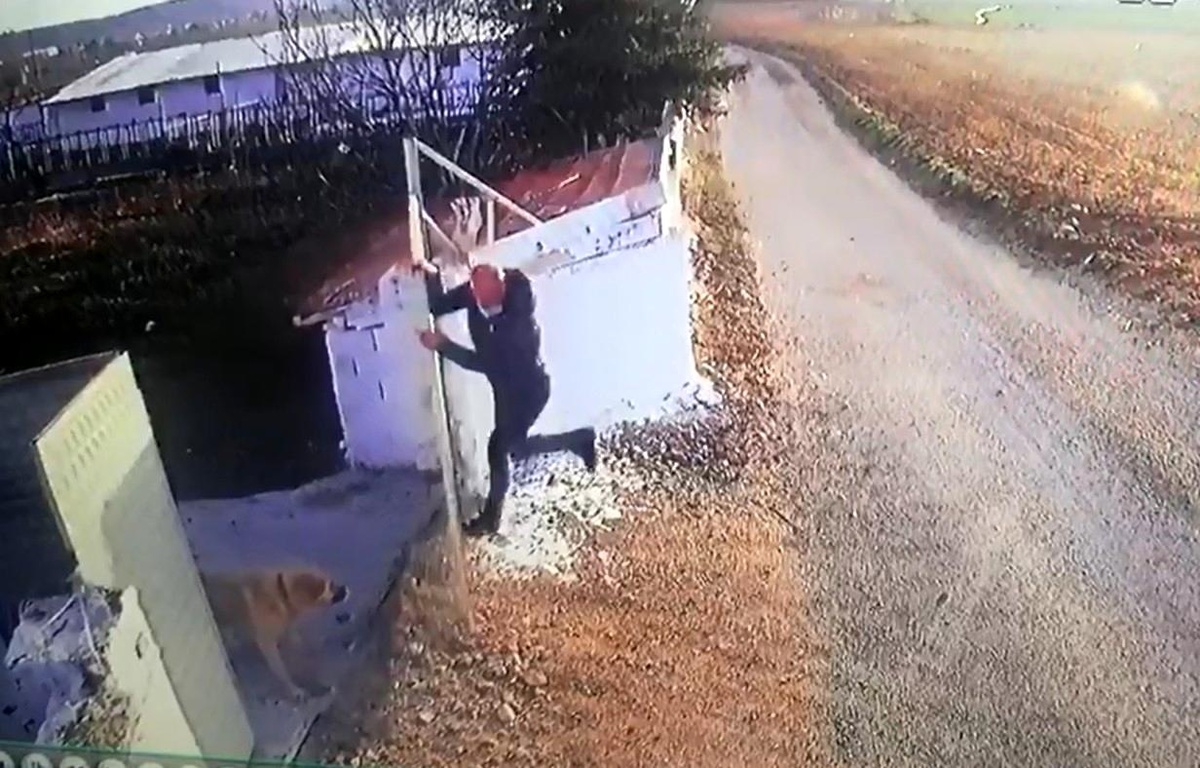 Son dakika haberi: Öğretmene köpek saldırısı güvenlik kamerasında